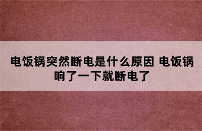 电饭锅突然断电是什么原因 电饭锅响了一下就断电了